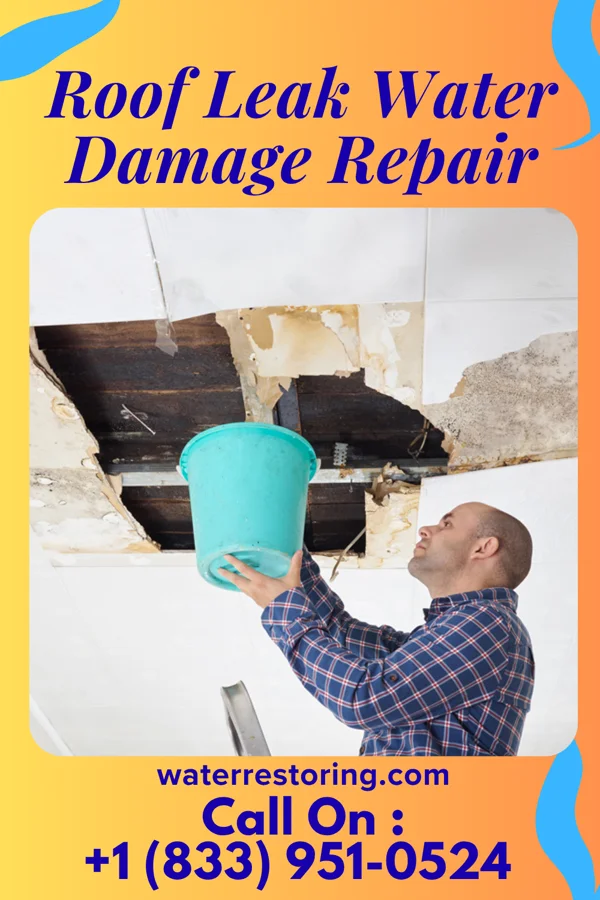 Roof Leak Water Damage Repair in Washougal, WA